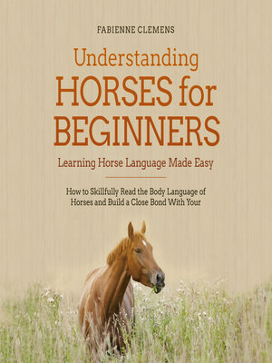 cover image of Understanding Horses for Beginners--Learning Horse Language Made Easy